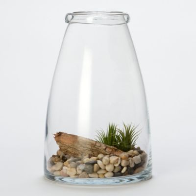Turned Rim Terrarium 