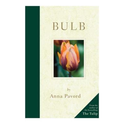 Bulb