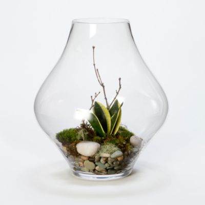Holding Glass Terrarium 