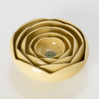 Ranunculus Bowls 