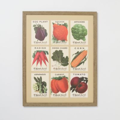 Framed Heirloom Vegetable Seeds 