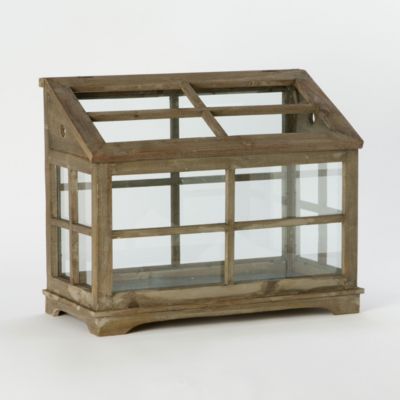 Orchid House Terrarium