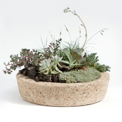 Low Profile Hypertufa Planter, No. 3