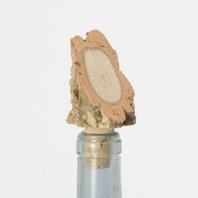 Sapling Bottle Stopper