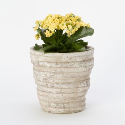Layers Pot