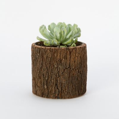 Log Cylinder Pot