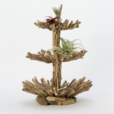Twisted Driftwood Epergne  