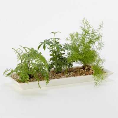 Oblong Chiseled Tray, Large