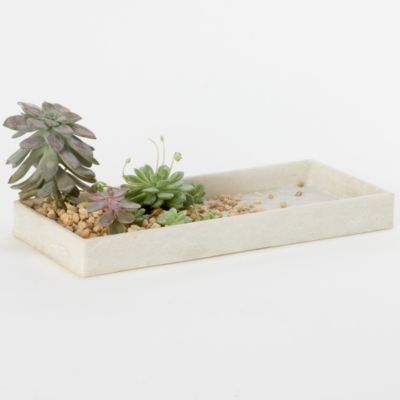 Polished Marble Tray