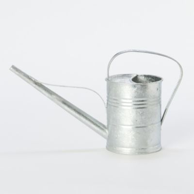 Hot-Dipped Steel Watering Can 
