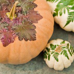 Personal Shopping: Home Décor & Summer Party Planning