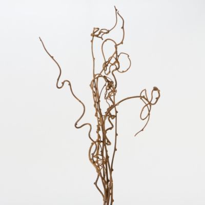 Dried Kiwi Vine Terrain