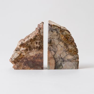 Primeval Forest Bookends