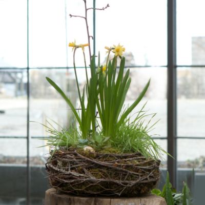 Bird's Nest Wreath