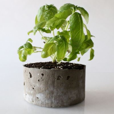 Cast Stone Planter, Basil