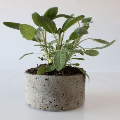 Cast Stone Planter, Sage