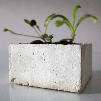Cast Stone Planter, Flowers
