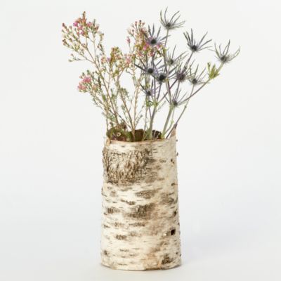 Birch Bark Cylinders