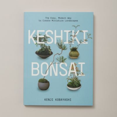 Keshiki Bonsai