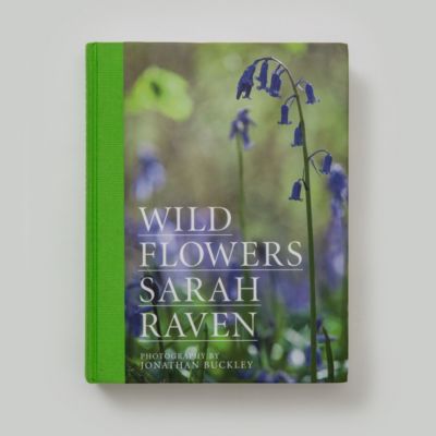 Wildflowers