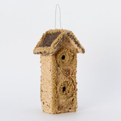 Edible Seed Birdhouse 