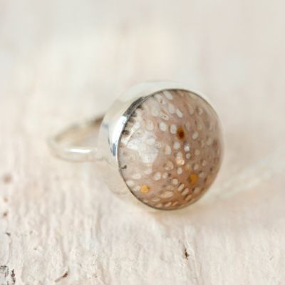 Fossilized Palm Ring