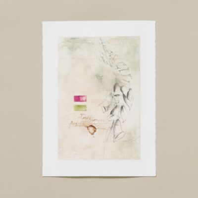 Foxglove Plaster Page