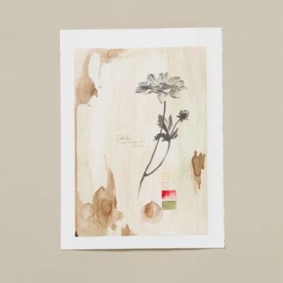Dahlia Plaster Page