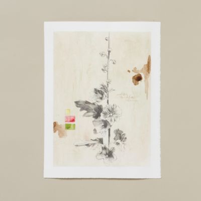 Holly Plaster Page