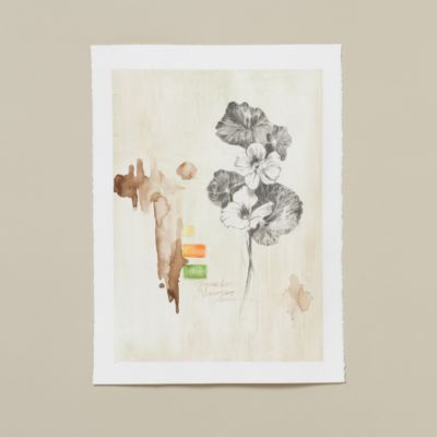 Nasturtium Plaster Page