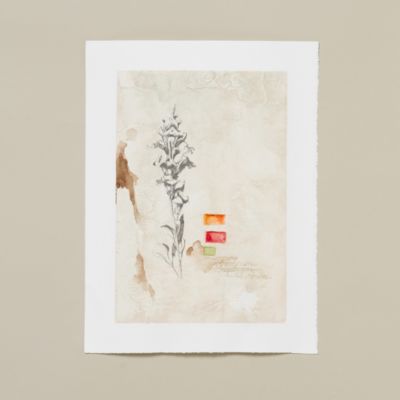 Snapdragon Plaster Page