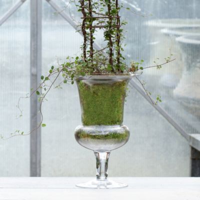 Urn Terrarium