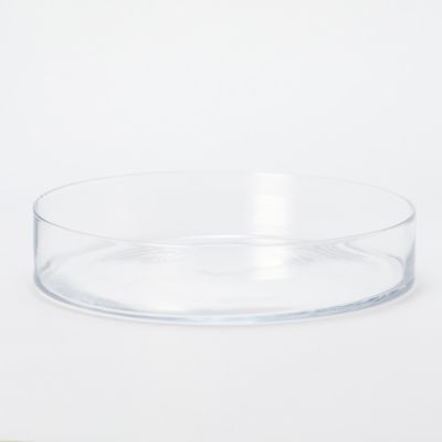 Circumference Planter
