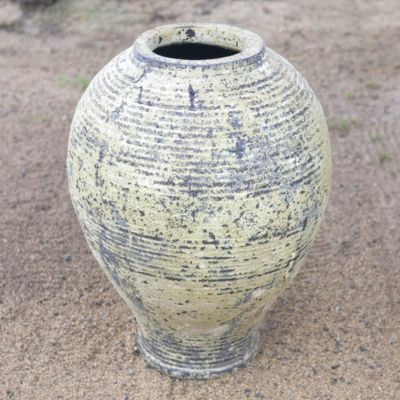Barnacle Egg Jar