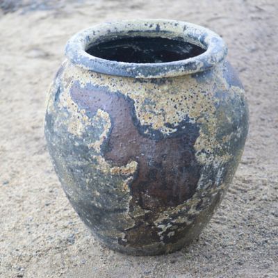 Barnacle Water Jar