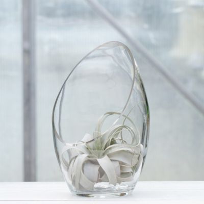 Cutaway Terrarium