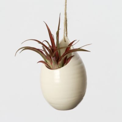 Ceramic Teardrop Planter