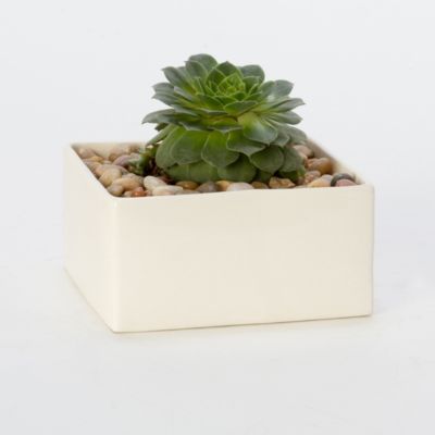 Ceramic Square Planter