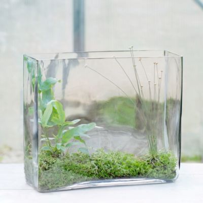 Angles Terrarium, Large Square