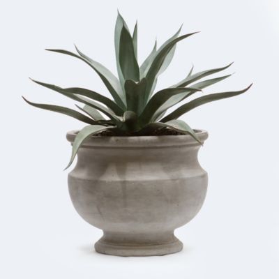 Roman Urn, Large