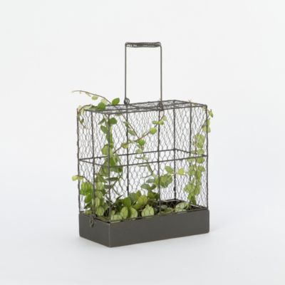 Bird Cage Planter