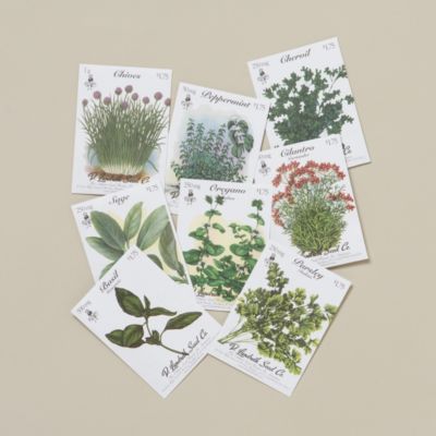Kitchen Herbs Seed Collection