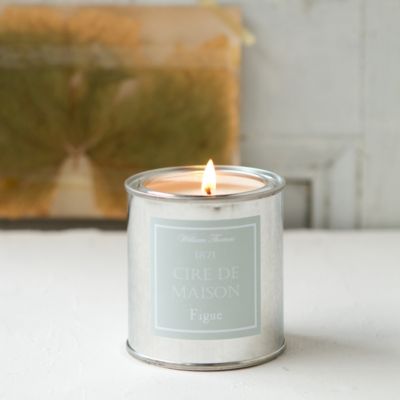 Painter’s Candle, Fig