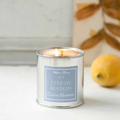 Painter’s Candle, Citron Blossom