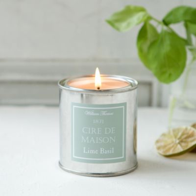 Painter’s Candle, Lime & Basil