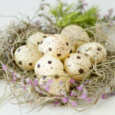 Speckled Egg Candles