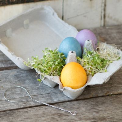 Natural Egg Dyeing Kit
