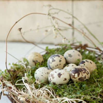 Quail Eggs
