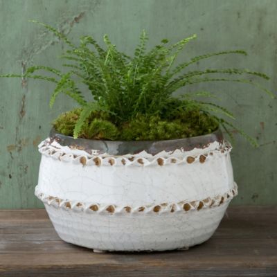 Fluted Lace Pot