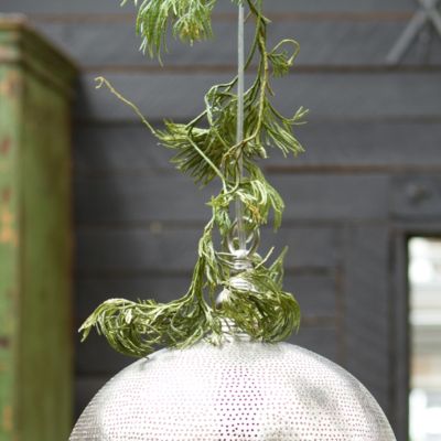 Fountain Vine Bunch